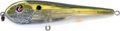 River2Sea ICBM 120 Hard Stickbait/Glidebait -Unique Fishing Store 03IKnowIt