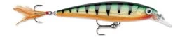 Rapala X-Rap 06 Shallow Diving Jerkbait -Unique Fishing Store 12381491888183