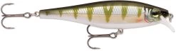 Rapala Balsa Xtreme BX Minnow 10 Medium Diving Jerkbait -Unique Fishing Store 12582631997495