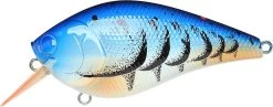 Lucky Craft LC 2.5 Shallow Squarebill Crankbait -Unique Fishing Store 12607085969463