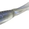 13 Fishing My Name Is Jeff 4 Inch Paddle Tail Swimbait 5 Pack -Unique Fishing Store 2 Moonlight Clan