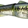 Chasebaits Drunken Mullet 95/130 Topwater Prop Lure -Unique Fishing Store 31431098630233