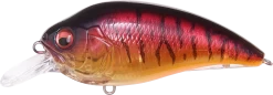 Megabass Super-Z Z-1 Medium Diving Crankbait 21 Megabass Super-Z Z-1 Medium Diving Crankbait -Unique Fishing Store 31680779092057