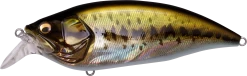 Megabass Big-M 2.0 Magnum Medium Diving Crankbait -Unique Fishing Store 32195136913497