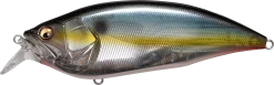 Megabass Big-M 2.0 Magnum Medium Diving Crankbait -Unique Fishing Store 32195137044569