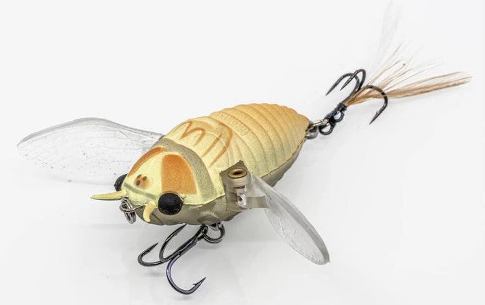 Chasebaits Ripple Cicada 1 3/4 Inch Wakebait Crawler 5 Chasebaits Ripple Cicada 1 3/4 Inch Wakebait Crawler - Image 3