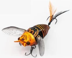 Chasebaits Ripple Cicada 1 3/4 Inch Wakebait Crawler 13 Chasebaits Ripple Cicada 1 3/4 Inch Wakebait Crawler -Unique Fishing Store 32233146908761