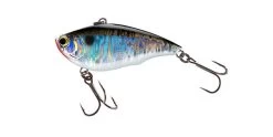 Yo-Zuri Rattl'N Vibe 3/8 Oz. Lipless Crankbait 25 Yo-Zuri Rattl'N Vibe 3/8 Oz. Lipless Crankbait -Unique Fishing Store 32244696023129