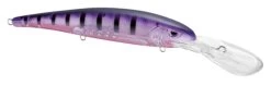 SPRO MadEye Minnow 120 Deep Diving Walleye Trolling Lure -Unique Fishing Store 32339518750809