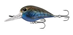 13 Fishing Gordito 2 Inch Medium Diving Crankbait -Unique Fishing Store 39332617879641