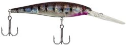 Berkley Flicker Minnow Jerkbait/Trolling Hard Minnow - 1/2 Oz 39 Berkley Flicker Minnow Jerkbait/Trolling Hard Minnow - 1/2 Oz -Unique Fishing Store 39766019768409