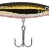Berkley Flicker Minnow Jerkbait/Trolling Hard Minnow - 1/4 Oz 2 Berkley Flicker Minnow Jerkbait/Trolling Hard Minnow - 1/4 Oz -Unique Fishing Store 39766023602265
