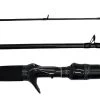 Phenix Feather FTX Casting Rods -Unique Fishing Store 39794148212825