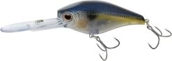 Nomad Design D-Trak Freshwater Extra Deep Diving Crankbait 15 Nomad Design D-Trak Freshwater Extra Deep Diving Crankbait -Unique Fishing Store 39840486424665