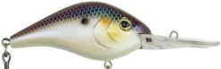 Berkley Dredger Deep Diving Crankbait Deeper Diving Models -Unique Fishing Store 40325002952793