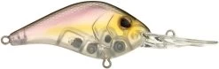 Berkley Dredger Deep Diving Crankbait Deeper Diving Models -Unique Fishing Store 40325003182169