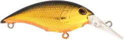 Berkley Money Badger Trolling Plug / Crankbait 25 Berkley Money Badger Trolling Plug / Crankbait -Unique Fishing Store 40326907134041