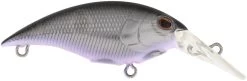 Berkley Money Badger Trolling Plug / Crankbait 24 Berkley Money Badger Trolling Plug / Crankbait -Unique Fishing Store 40326907199577