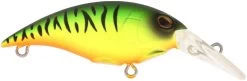 Berkley Money Badger Trolling Plug / Crankbait 32 Berkley Money Badger Trolling Plug / Crankbait -Unique Fishing Store 40326907396185