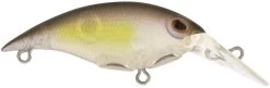 Berkley Money Badger Trolling Plug / Crankbait 39 Berkley Money Badger Trolling Plug / Crankbait -Unique Fishing Store 40326907625561