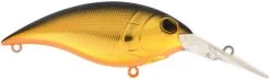 Berkley Money Badger Deep Diving Trolling Plug / Crankbait 25 Berkley Money Badger Deep Diving Trolling Plug / Crankbait -Unique Fishing Store 40326922535001