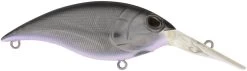 Berkley Money Badger Deep Diving Trolling Plug / Crankbait 26 Berkley Money Badger Deep Diving Trolling Plug / Crankbait -Unique Fishing Store 40326922567769