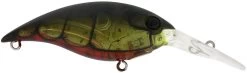 Berkley Money Badger Deep Diving Trolling Plug / Crankbait 41 Berkley Money Badger Deep Diving Trolling Plug / Crankbait -Unique Fishing Store 40326923092057