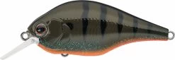 Evergreen International ZR-4 Zeruch Crankbait -Unique Fishing Store 40378005487705