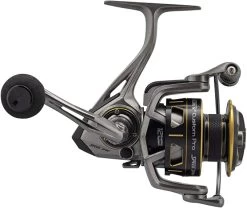 Team Lew's Custom Pro Speed Spin Spinning Reels 15 Team Lew's Custom Pro Speed Spin Spinning Reels -Unique Fishing Store 61x4RWGqyKL. AC SX679