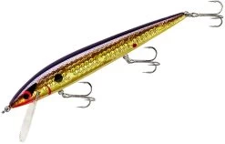 Smithwick Elite 8 Rogue 4 1/2 Inch Suspending Jerkbait -Unique Fishing Store ADR4213