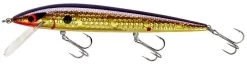 Smithwick Elite 8 Rogue 4 1/2 Inch Suspending Jerkbait -Unique Fishing Store ADR4213 427dcaa6 8bc9 4645 9527 5e6203b63ad1