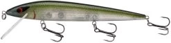 Smithwick Elite 8 Rogue 4 1/2 Inch Suspending Jerkbait -Unique Fishing Store ADR4281