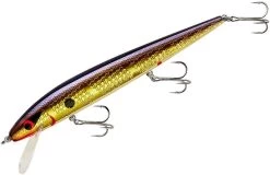 Smithwick Perfect 10 Rogue 5 1/2 Inch Deep Diving Suspending Jerkbait -Unique Fishing Store ADR5213