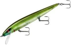 Smithwick Perfect 10 Rogue 5 1/2 Inch Deep Diving Suspending Jerkbait -Unique Fishing Store ADR5281