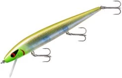 Smithwick Perfect 10 Rogue 5 1/2 Inch Deep Diving Suspending Jerkbait -Unique Fishing Store ADR5283