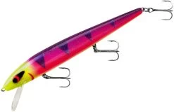 Smithwick Perfect 10 Rogue 5 1/2 Inch Deep Diving Suspending Jerkbait -Unique Fishing Store ADR5291