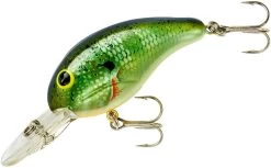 Bandit 200 Series Medium Diving Crankbait -Unique Fishing Store BDT2B38