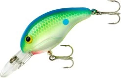 Bandit 200 Series Medium Diving Crankbait -Unique Fishing Store BDT2D01