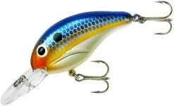 Bandit 200 Series Medium Diving Crankbait -Unique Fishing Store BDT2D62