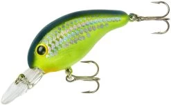 Bandit 200 Series Medium Diving Crankbait -Unique Fishing Store BDT2D66