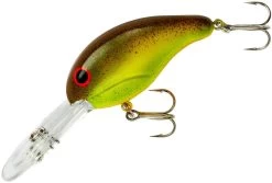 Bandit 300 Series Deep Diving Crankbait -Unique Fishing Store BDT3A28