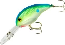 Bandit 300 Series Deep Diving Crankbait -Unique Fishing Store BDT3D01