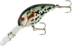 Bandit 300 Series Deep Diving Crankbait -Unique Fishing Store BDT3D38