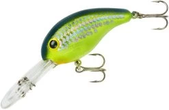 Bandit 300 Series Deep Diving Crankbait -Unique Fishing Store BDT3D66