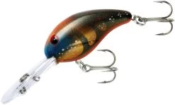 Bandit 300 Series Deep Diving Crankbait -Unique Fishing Store BDT3D80