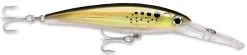 Rapala X-Rap Magnum 15 Big Game Slash Bait -Unique Fishing Store Bunker 8b9dd726 694e 41a9 997e 2323dcbbe37b
