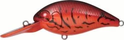 Evergreen International CR-8 Medium Diving Crankbait -Unique Fishing Store EVG CR 8 64 Fire Craw