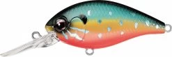 Evergreen International CR-8 Medium Diving Crankbait
