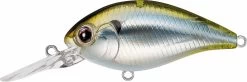 Evergreen International CR-8 Medium Diving Crankbait -Unique Fishing Store Evergreen CR 426 989914fb d891 42a1 89fe c834537ecc2c
