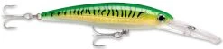 Rapala X-Rap Magnum 10 Big Game Slash Bait -Unique Fishing Store Gold Green Mackeral cda7cfa8 a69f 4924 bf1b 2fa9de168d74